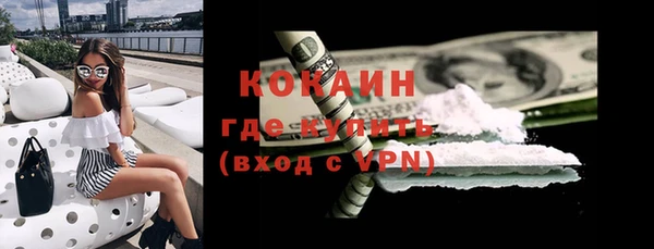 шишки Арсеньев