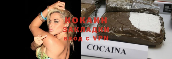 шишки Арсеньев
