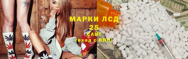 шишки Арсеньев