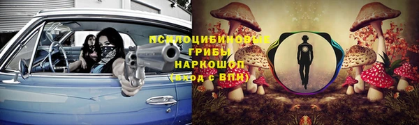 шишки Арсеньев