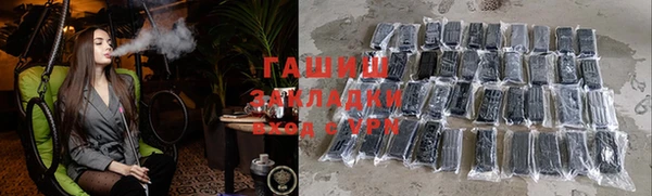 шишки Арсеньев